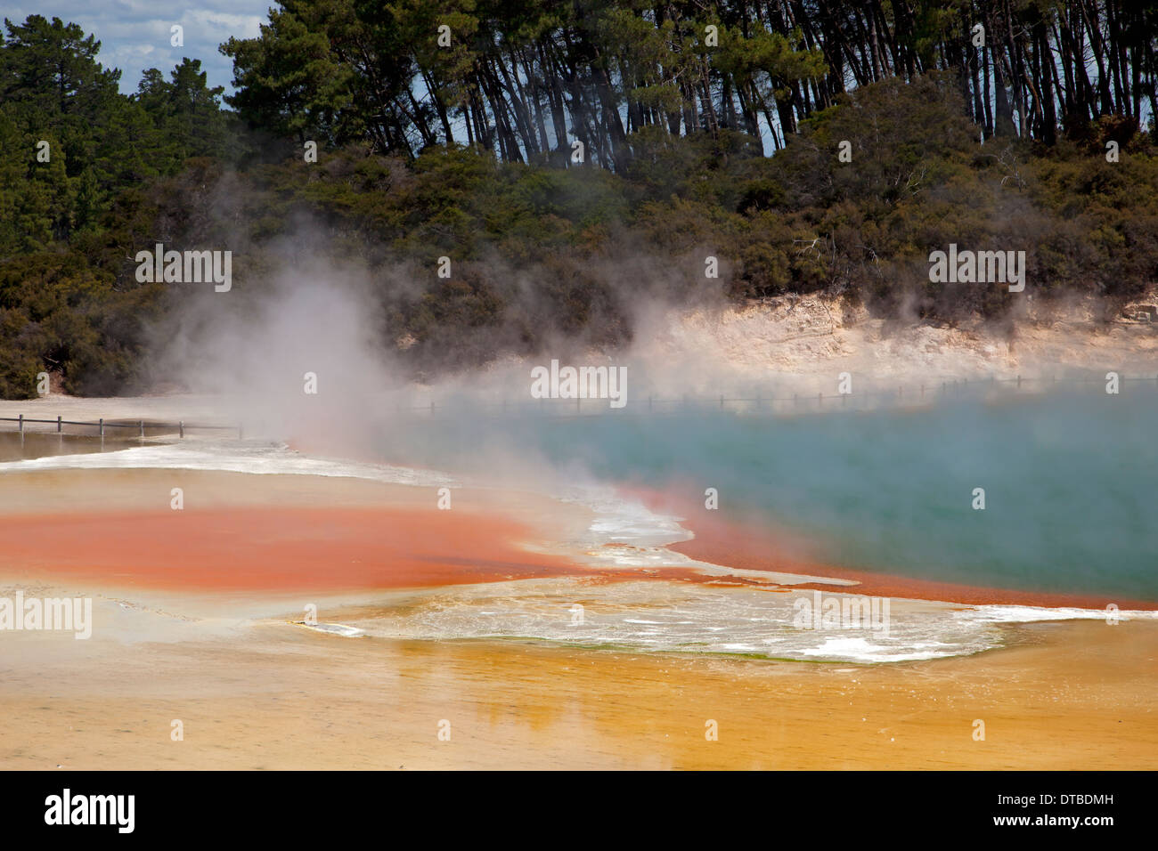 Champagne Pool, Wai-o-Tapu Thermal Wonderland in der Nähe von Rotorua und Taupo, Nordinsel, Neuseeland Stockfoto