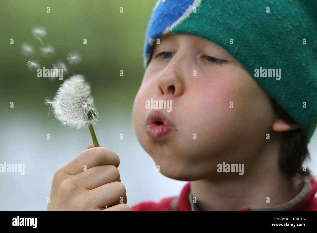 Neu Kätwin, Deutschland, junge bläst Löwenzahn gegen eine Stockfoto