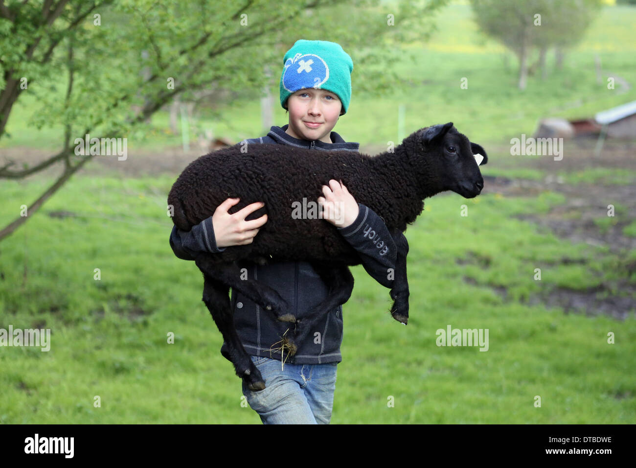 Neu Kätwin, Deutschland, junge hält ein Schwarzes Lamm in den Armen Stockfoto