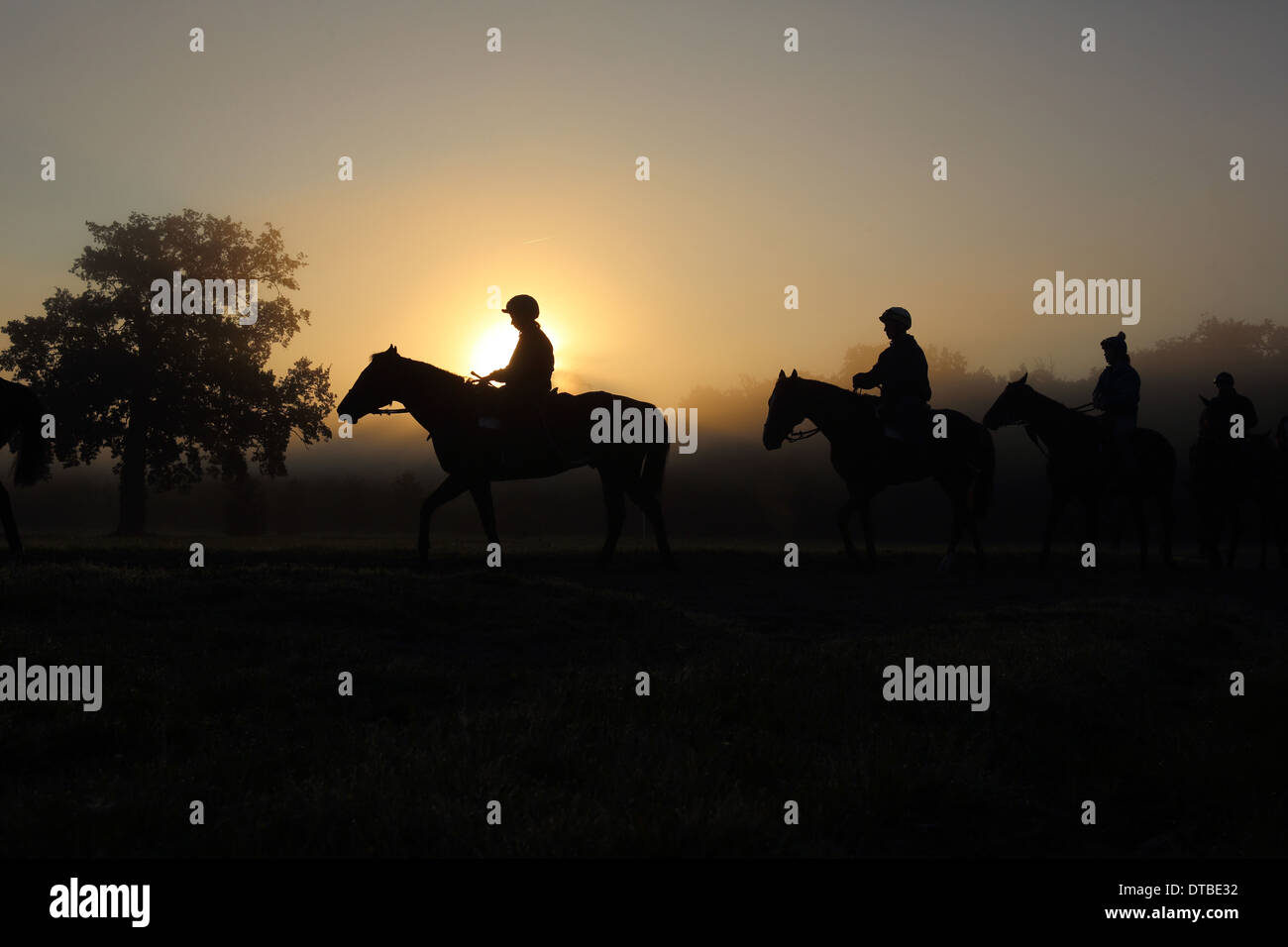 Chantilly, Frankreich, Silhouette, Pferde und Fahrer während der Fahrt in den Morgen Stockfoto