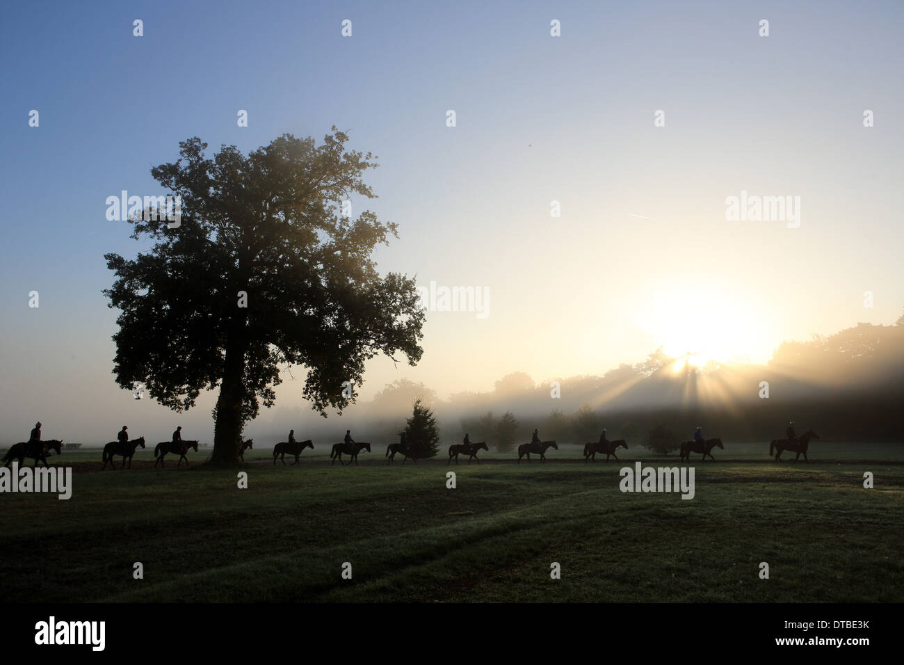 Chantilly, Frankreich, Reiter und Pferde bei der Fahrt in den Morgen Stockfoto