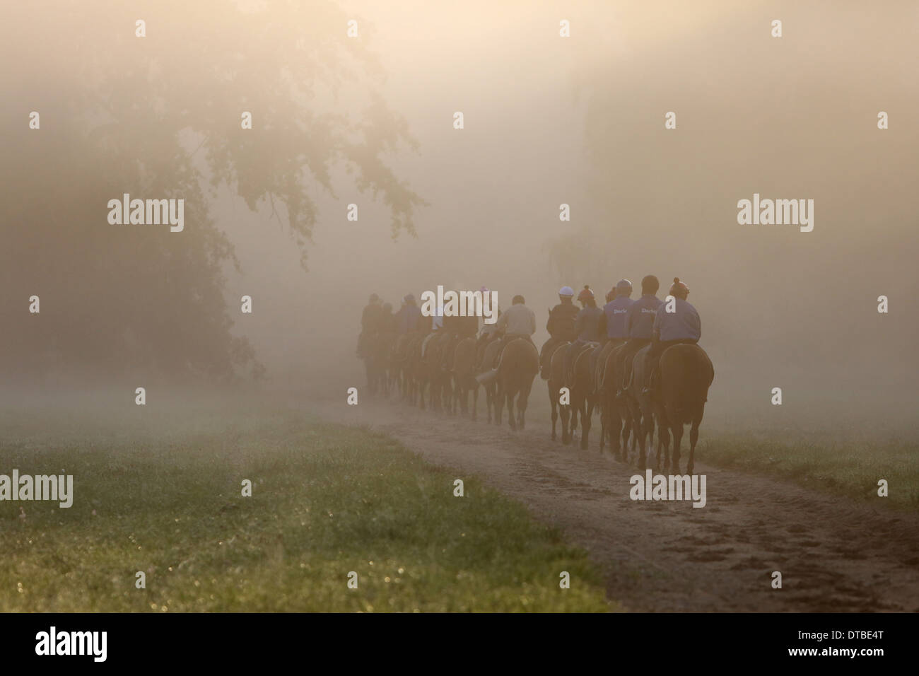 Chantilly, Frankreich, Reiter und Pferde bei der Fahrt in den Morgen Stockfoto