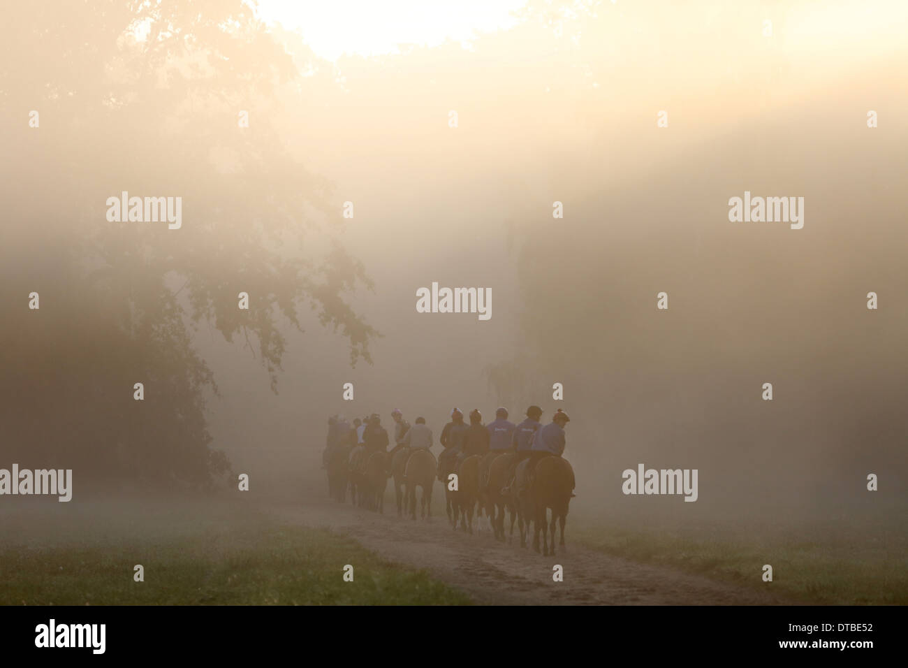 Chantilly, Frankreich, Reiter und Pferde bei der Fahrt in den Morgen Stockfoto