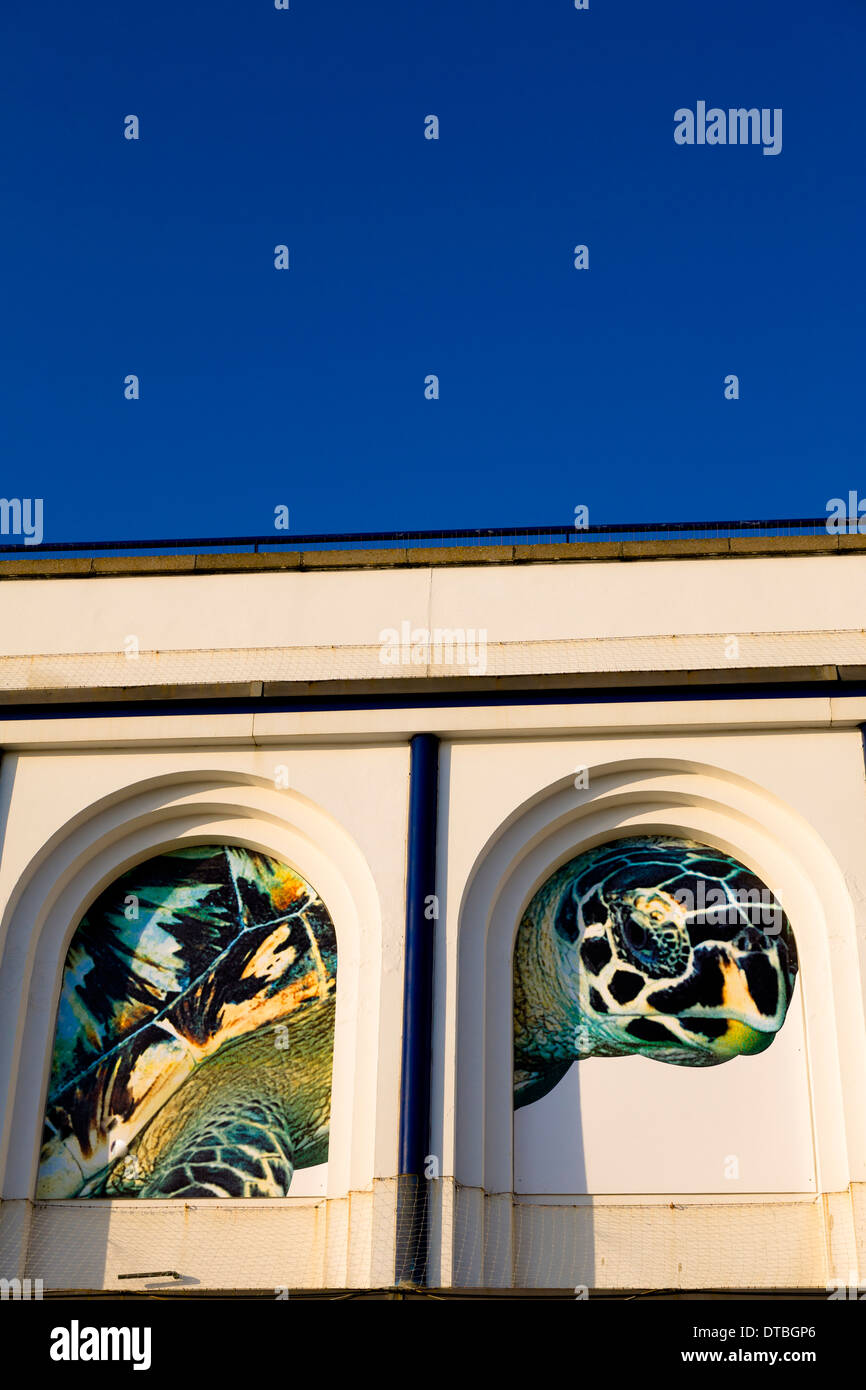 Teil das Ozeanarium Gebäude in Bournemouth mit einer Schildkröte Bild als Bestandteil der Fassade. Stockfoto