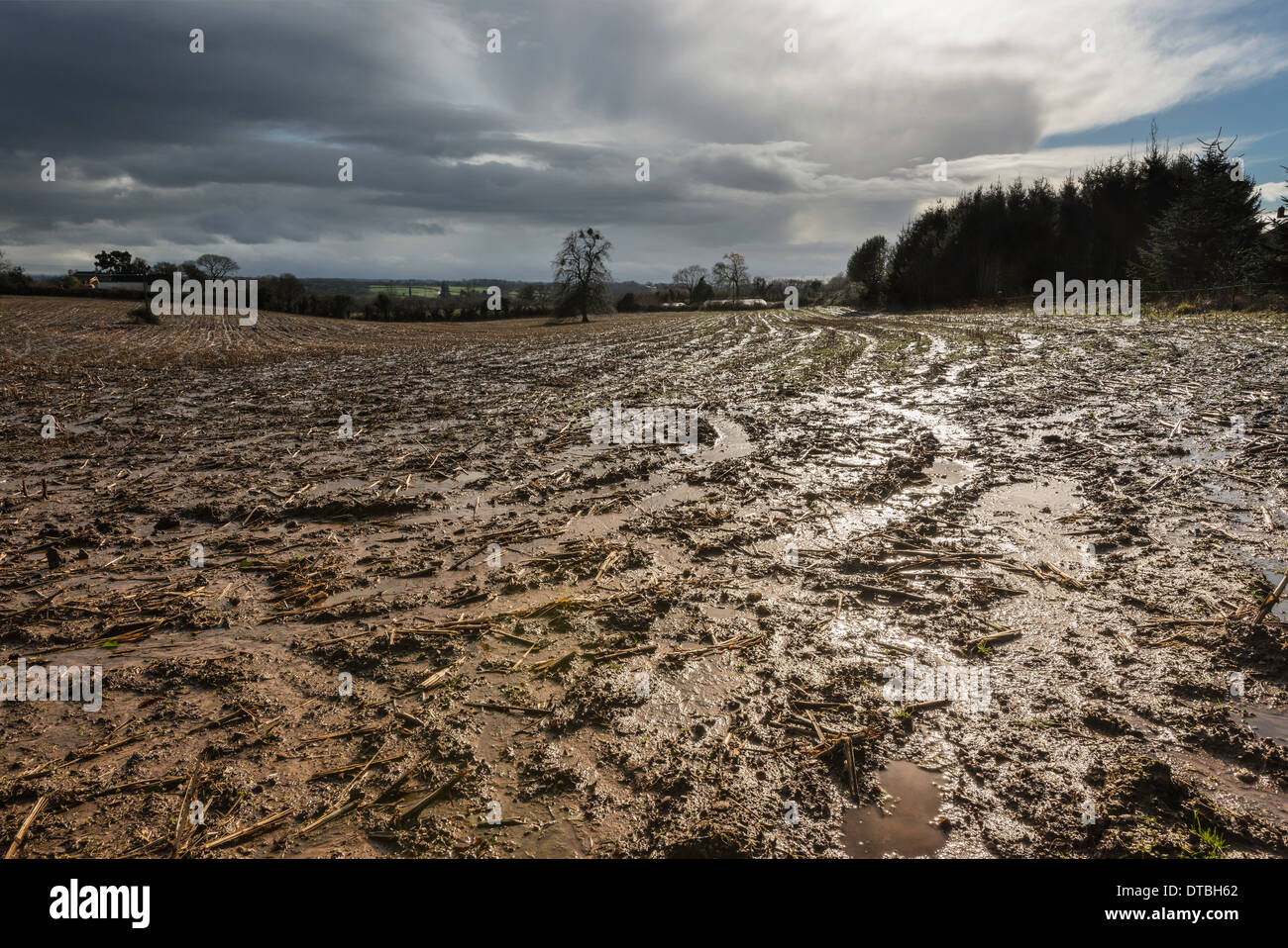 GESÄTTIGTEN ACKERLAND NACH STARKEN REGENFÄLLEN IM WINTER 2014 GLOUCESTERSHIRE UK FEUCHTESTEN WINTER AUF AUFZEICHNUNG Stockfoto