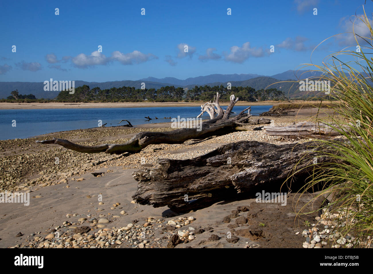 Treibholz auf Karamea Fluss, Karamea, West Coast, Südinsel, Neuseeland Stockfoto