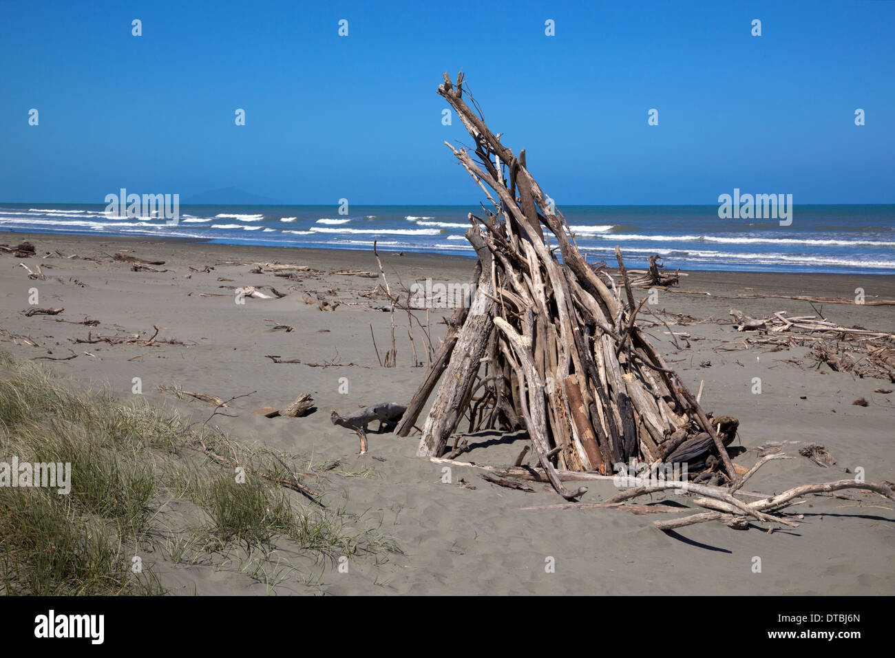 Treibholz auf Otaki Beach, Westküste, Nordinsel, Neuseeland Stockfoto