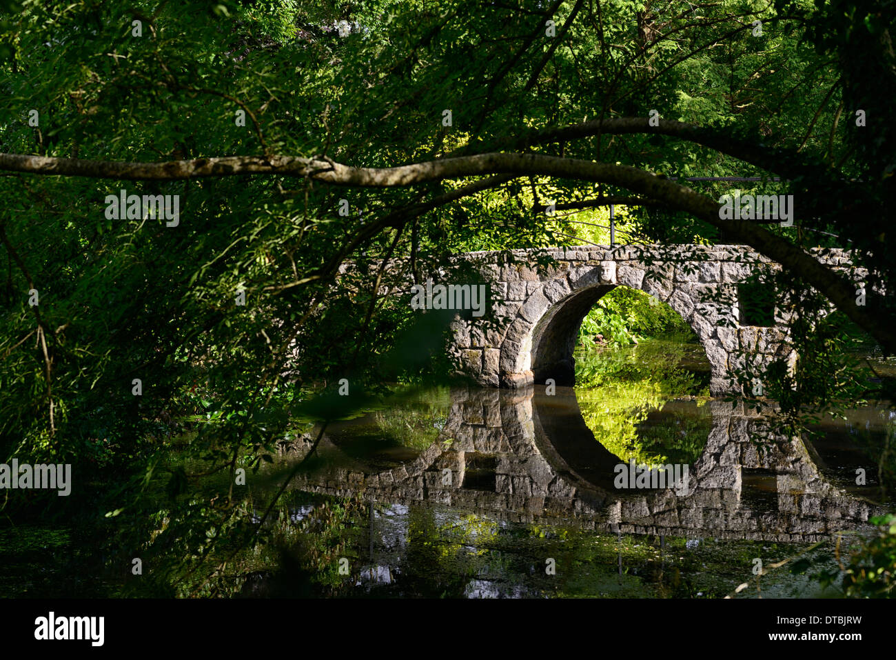 Stein-Bogenbrücke perfekte Spiegelung Rahmen gerahmt Baum Zweig Nadelbaum See Teich Altamont Gärten carlow Stockfoto
