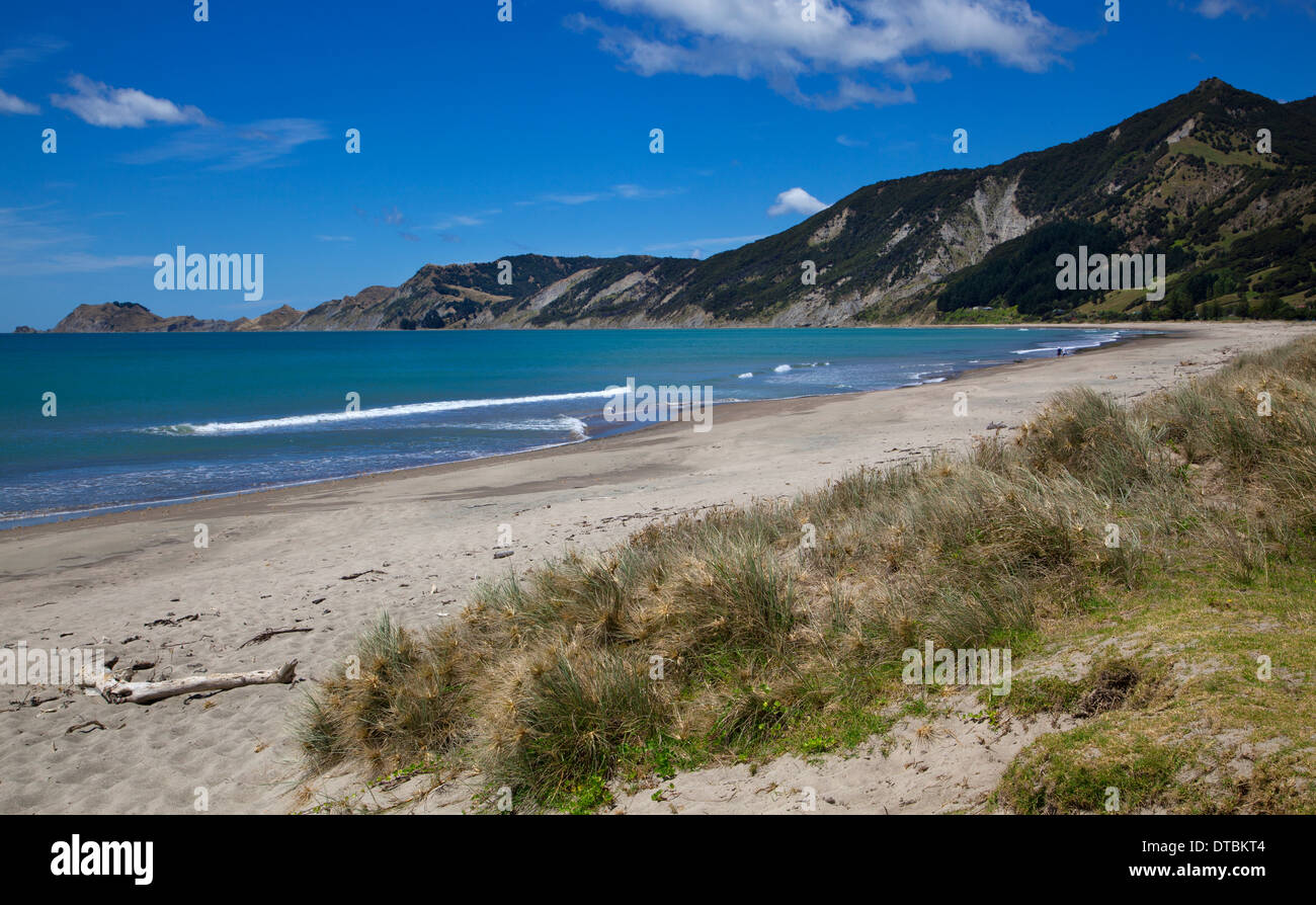 Tokomaru Bay, East Cape, Nordinsel, Neuseeland Stockfoto