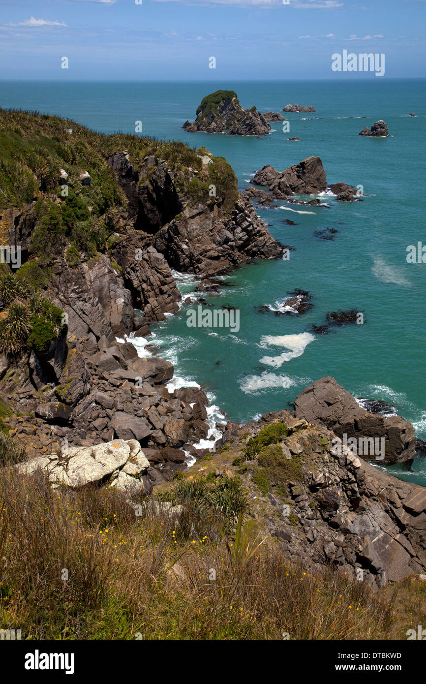 Cape Foulwind, Westport, West Coast, Südinsel, Neuseeland Stockfoto