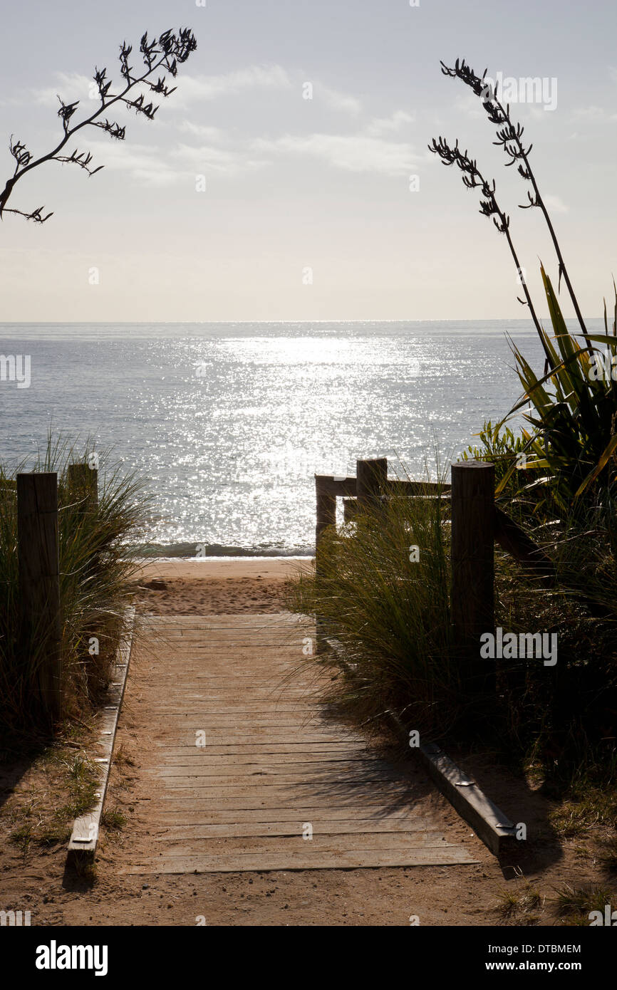 Totaranui Beach, Abel Tasman Nationalpark, Südinsel, Neuseeland Stockfoto