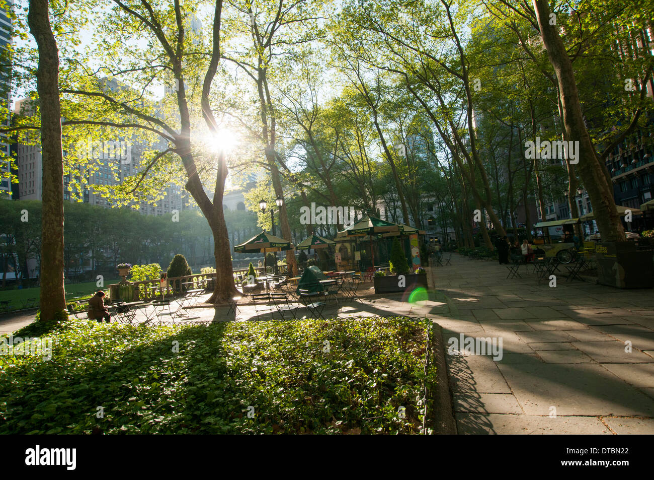 Am frühen Morgensonne durch die Bäume im Bryant Park, Midtown Manhattan New York USA Stockfoto