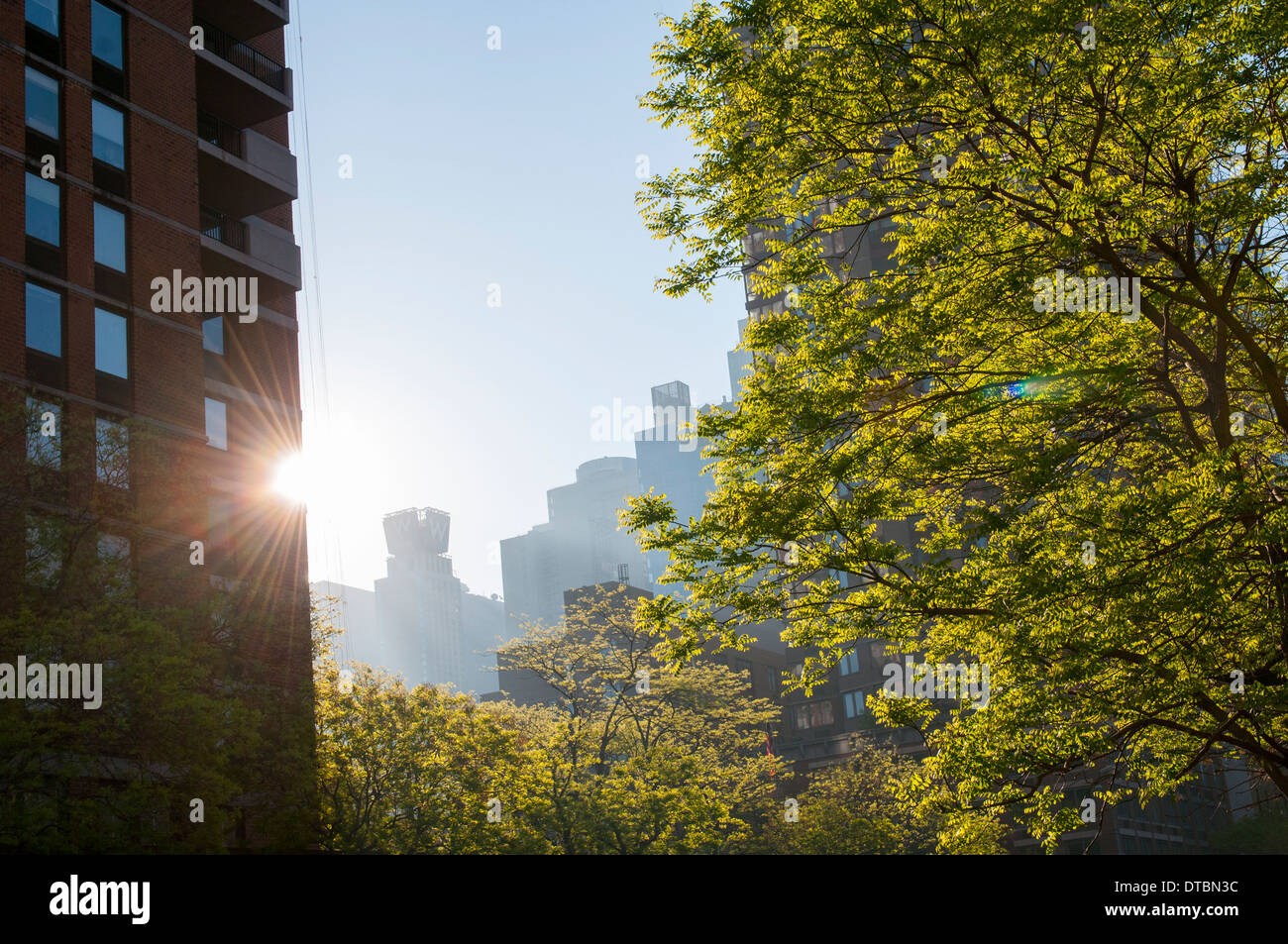Licht des frühen Morgens auf der 42nd Street in Midtown Manhattan New York USA Stockfoto