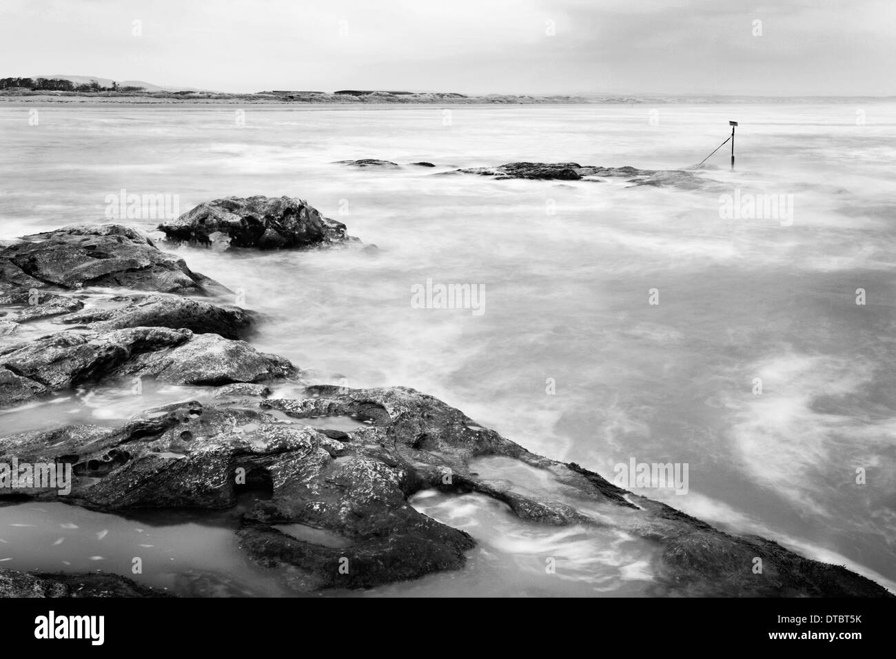 Rock und Gezeiten mit Blick auf West Sands St Andrews Fife Schottland Stockfoto