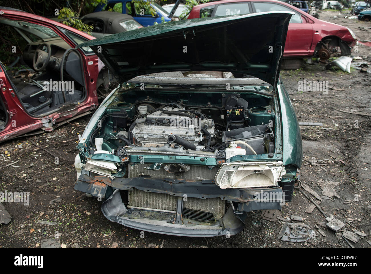 Zerquetschten Autos im Schrott Hof UK Stockfoto