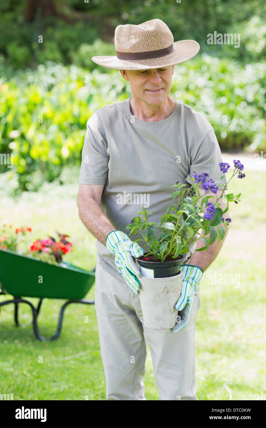 Reifer Mann mit Topfpflanze in Garten Stockfoto