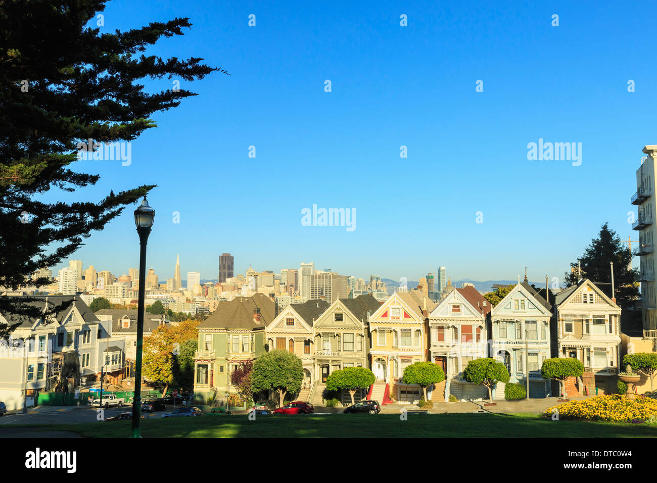 Distelfalter Häuser, Bereich Alamo Square, San Francisco, Kalifornien, USA Stockfoto