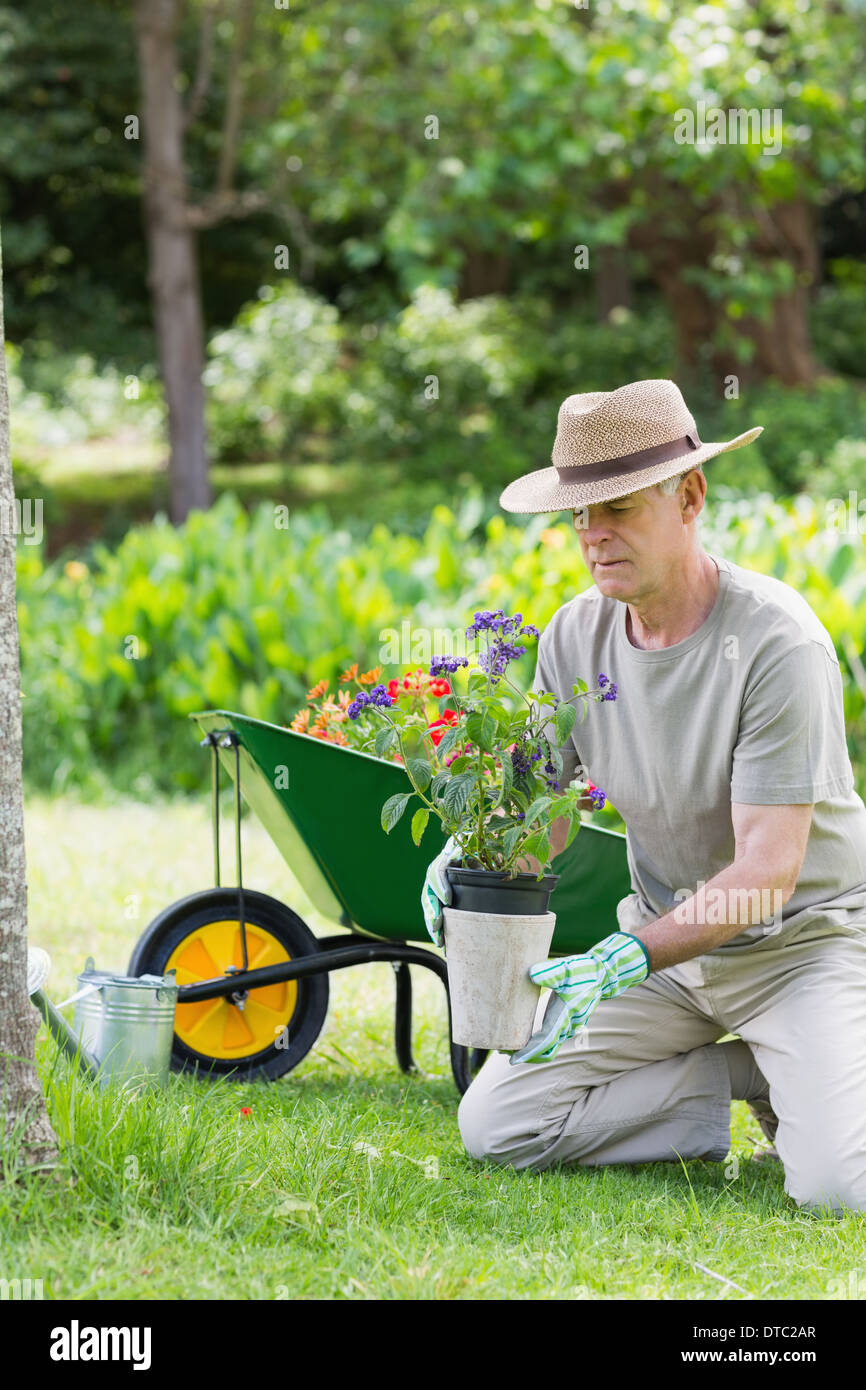Reifer Mann engagiert bei der Gartenarbeit Stockfoto