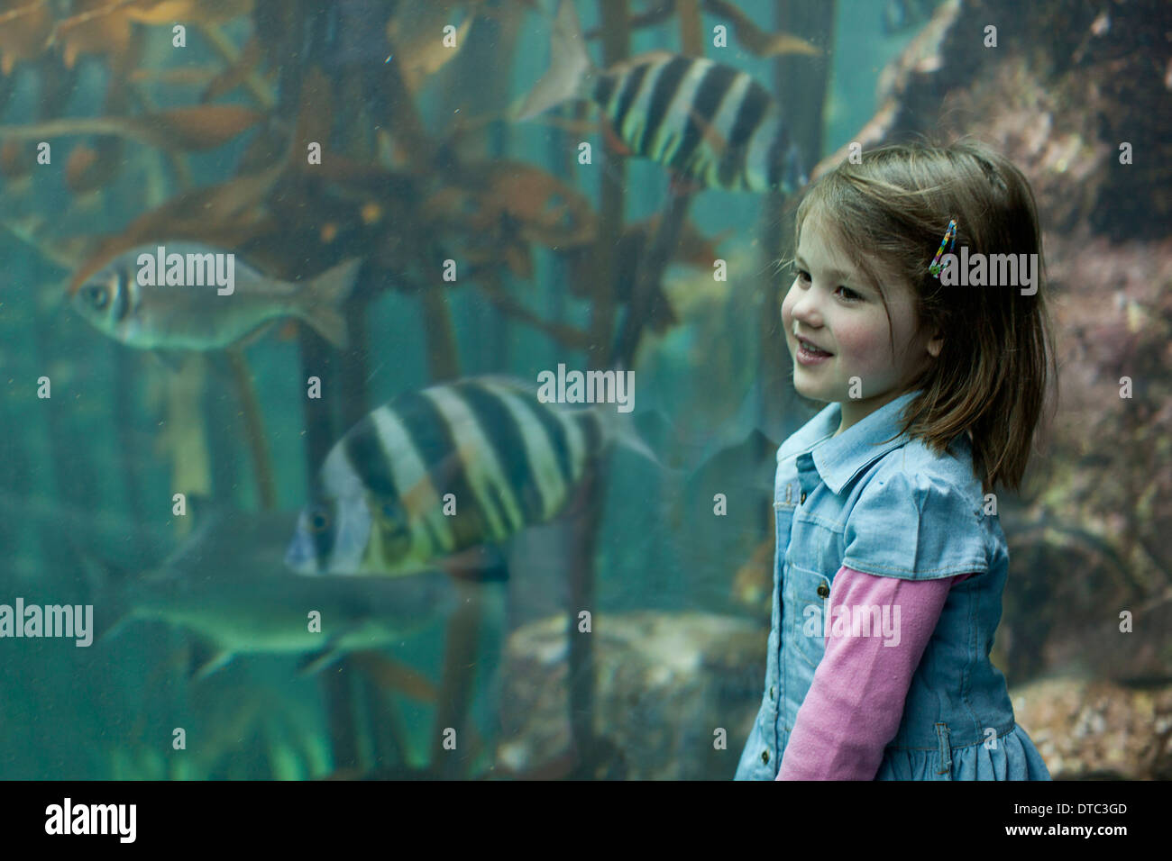 Nur Fisch Im Meer Für Mich Stockfotos und -bilder Kaufen - Alamy