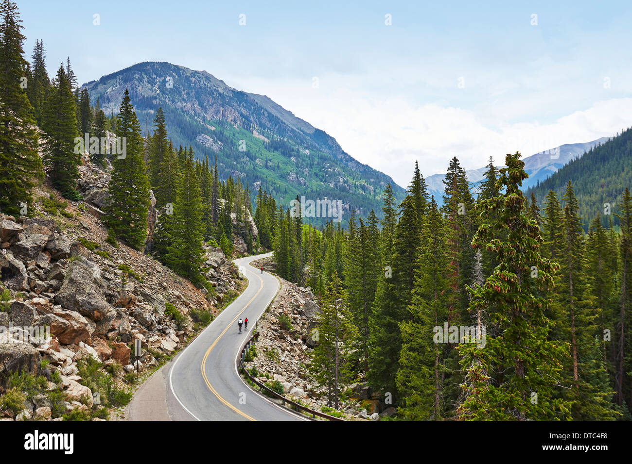 Radfahrer auf kurvenreichen Landstraße, Aspen, Colorado, USA Stockfoto