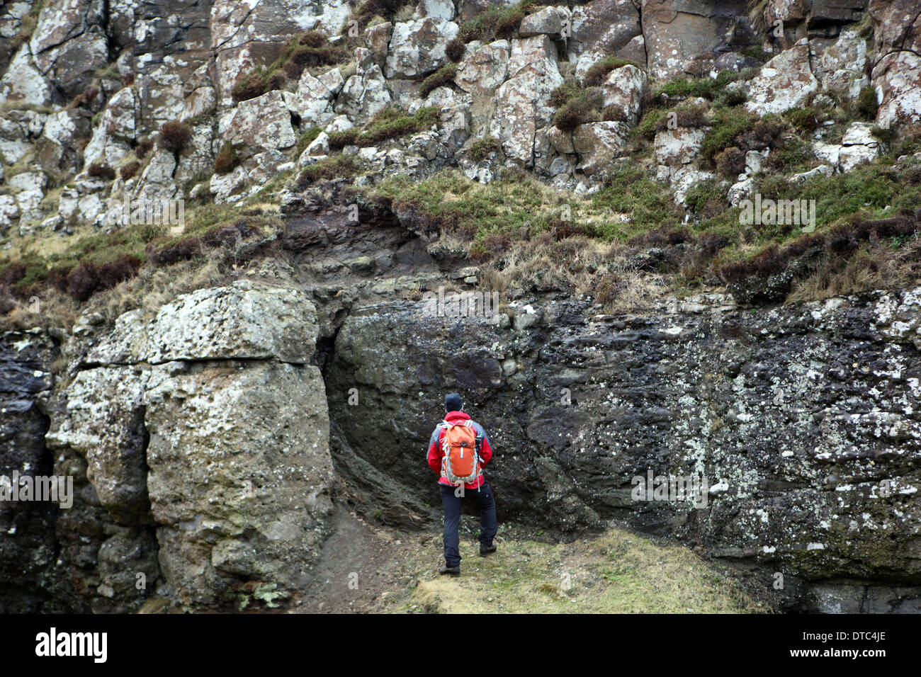 Mann auf der Suche auf 54 Millionen Jahre alten Fossiiised-Blatt-Betten auf der Isle of Mull in Schottland Stockfoto