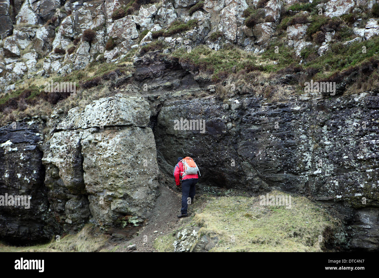 Mann auf der Suche auf 54 Millionen Jahre alten Fossiiised-Blatt-Betten auf der Isle of Mull in Schottland Stockfoto