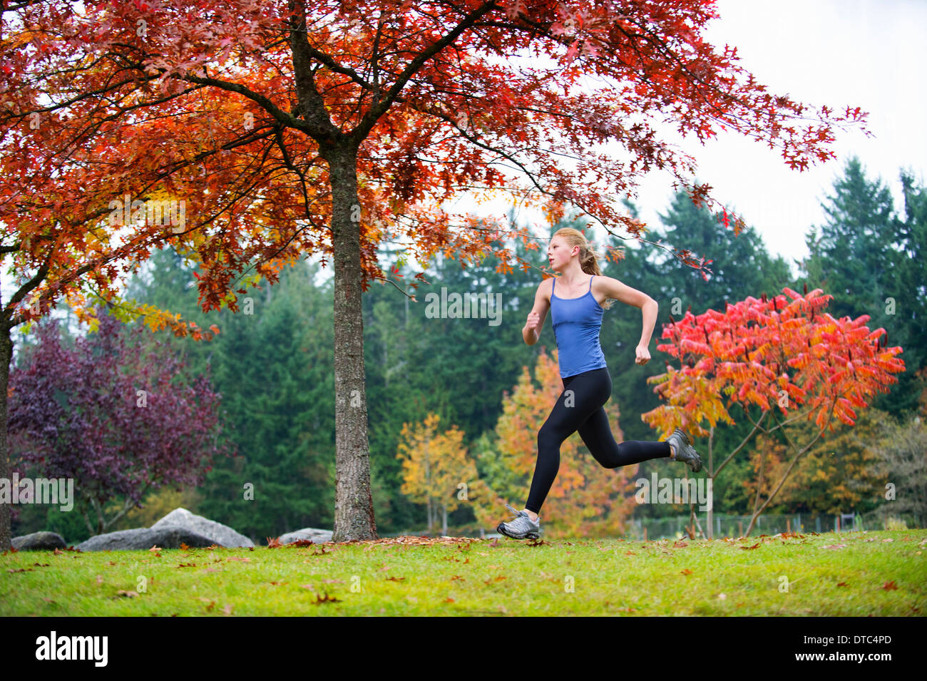 Mädchen im Wald joggen Stockfoto