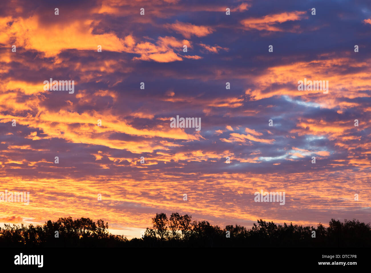 Paradiesische Landschaft mit schönen Cumulus-Wolken. Stockfoto