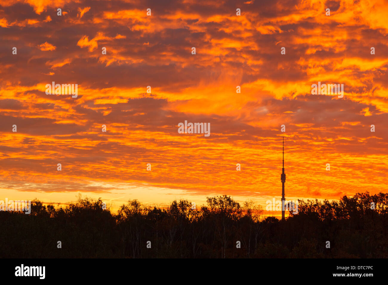 Paradiesische Landschaft mit schönen Cumulus-Wolken. Stockfoto