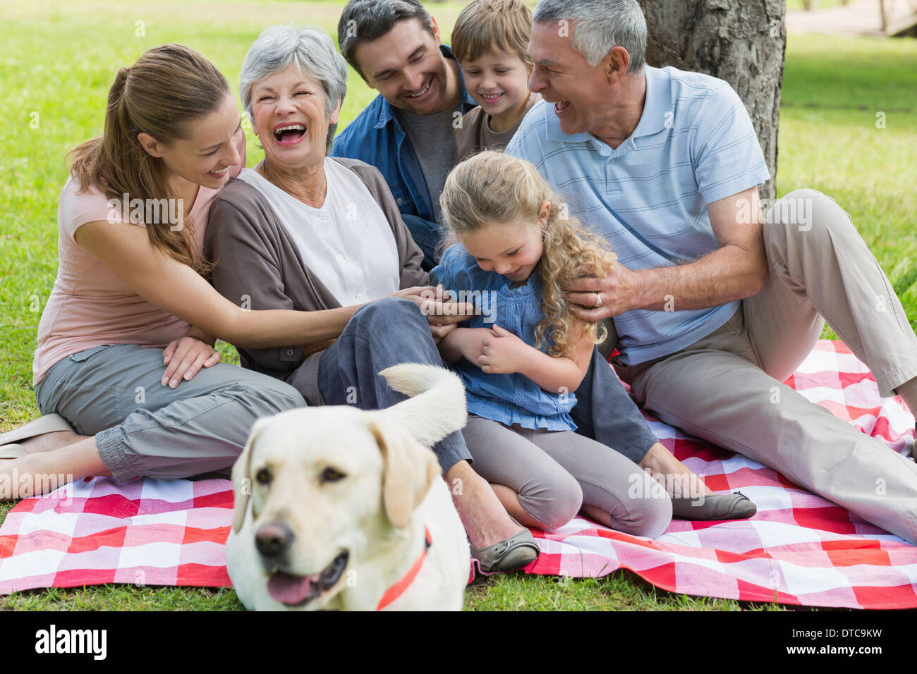 Gut gelaunt erweitert Familie sitzt auf der Picknickdecke im park Stockfoto