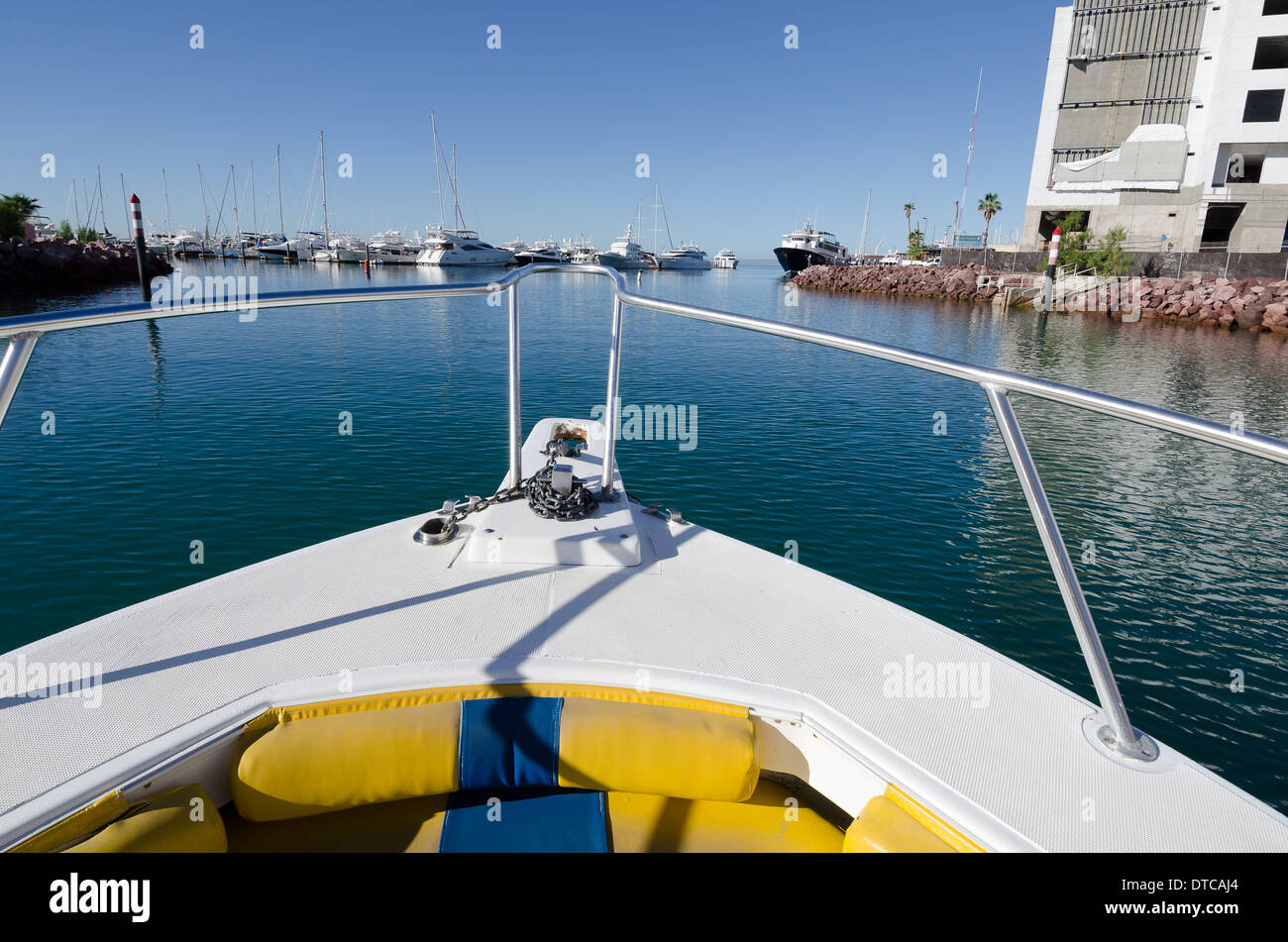 Tauchen im Meer von cortez Stockfoto Tauchen im Meer von cortez Stockfoto