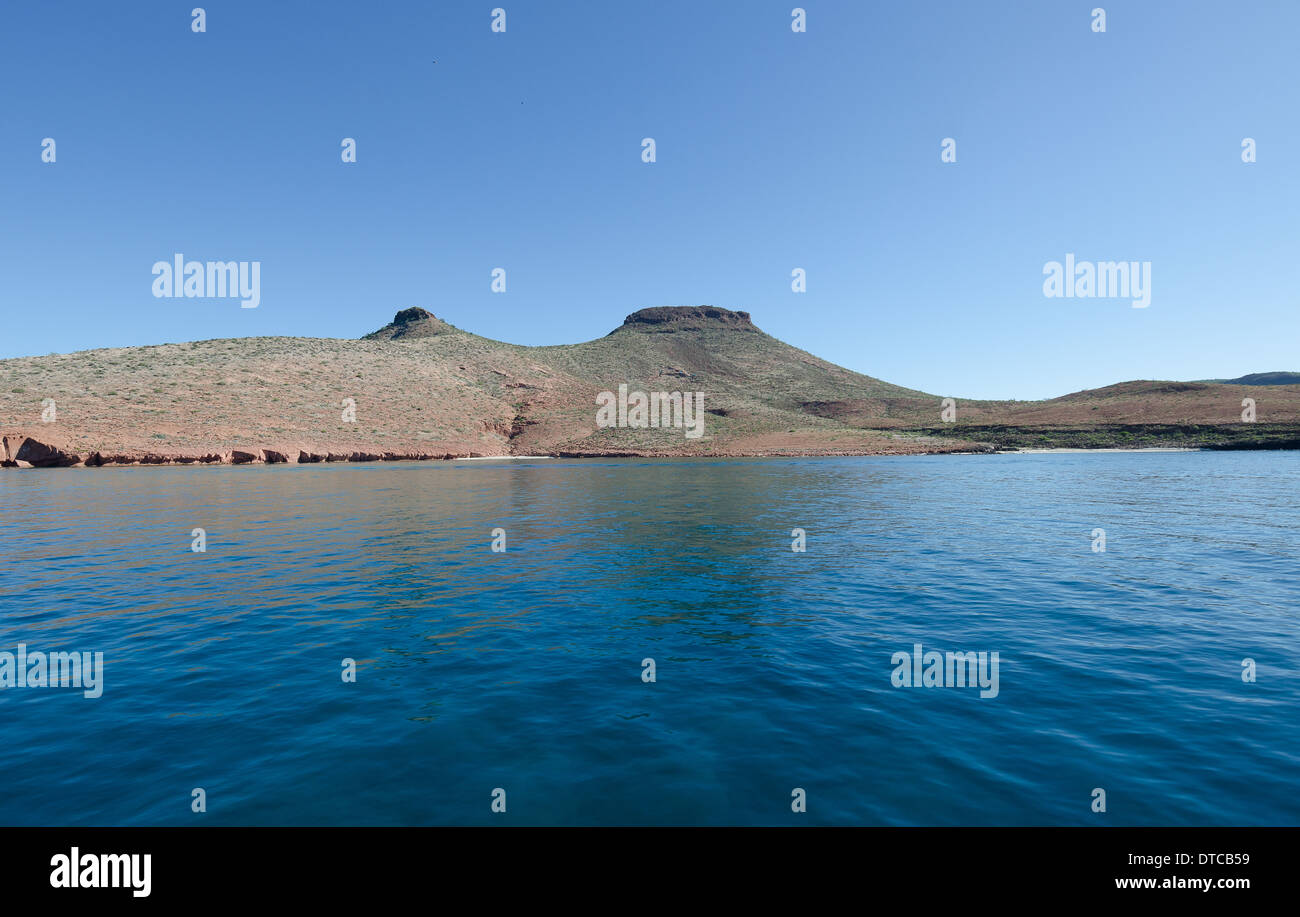 Tauchen im Meer von cortez Stockfoto