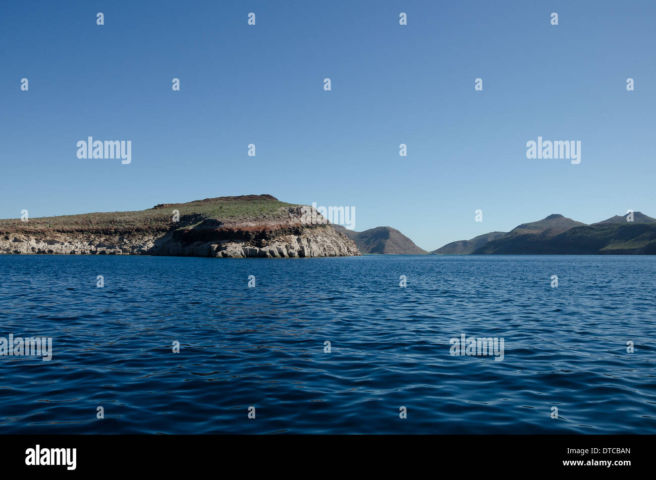 Tauchen im Meer von cortez Stockfoto Tauchen im Meer von cortez Stockfoto