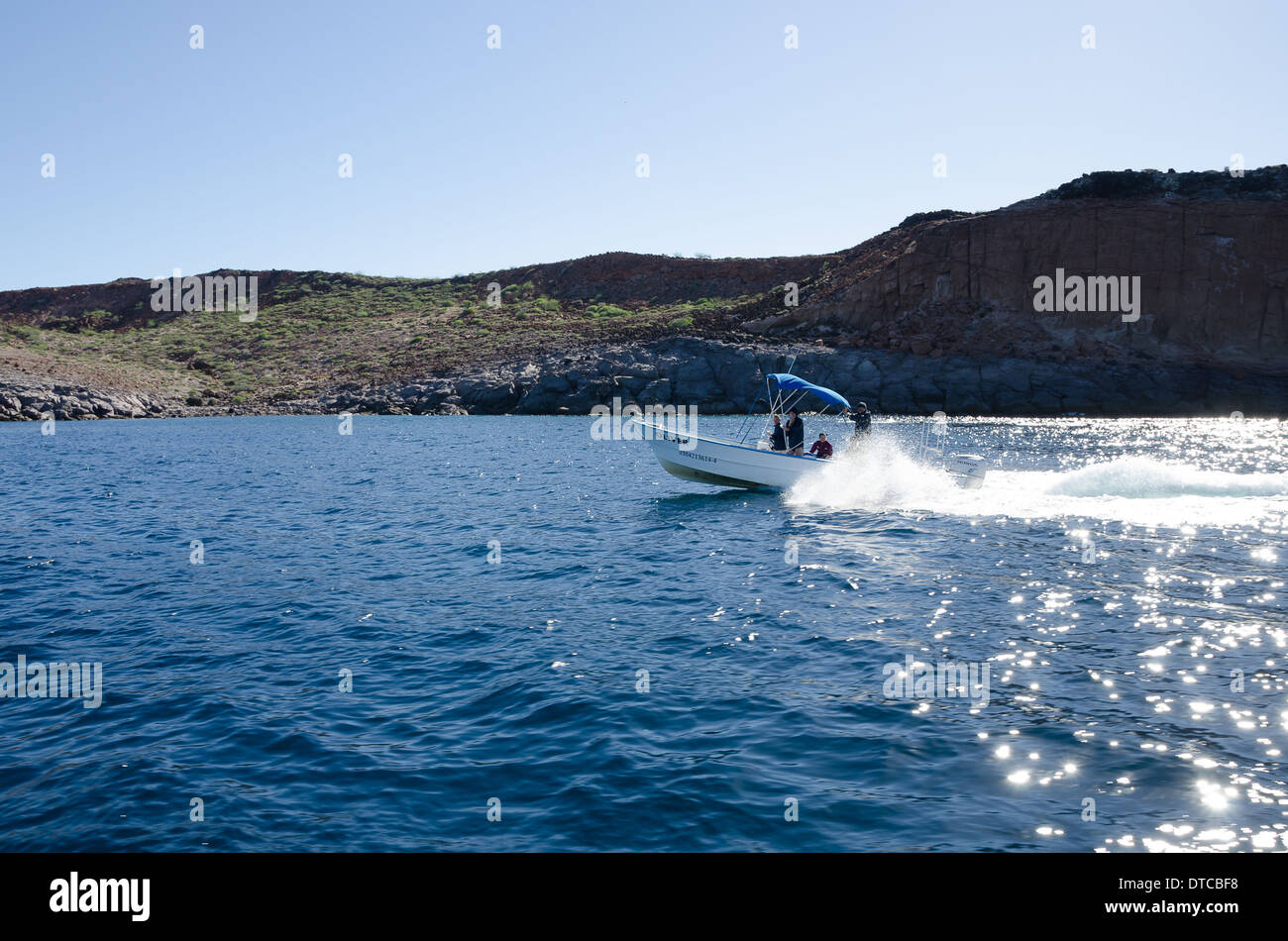 Tauchen im Meer von cortez Stockfoto