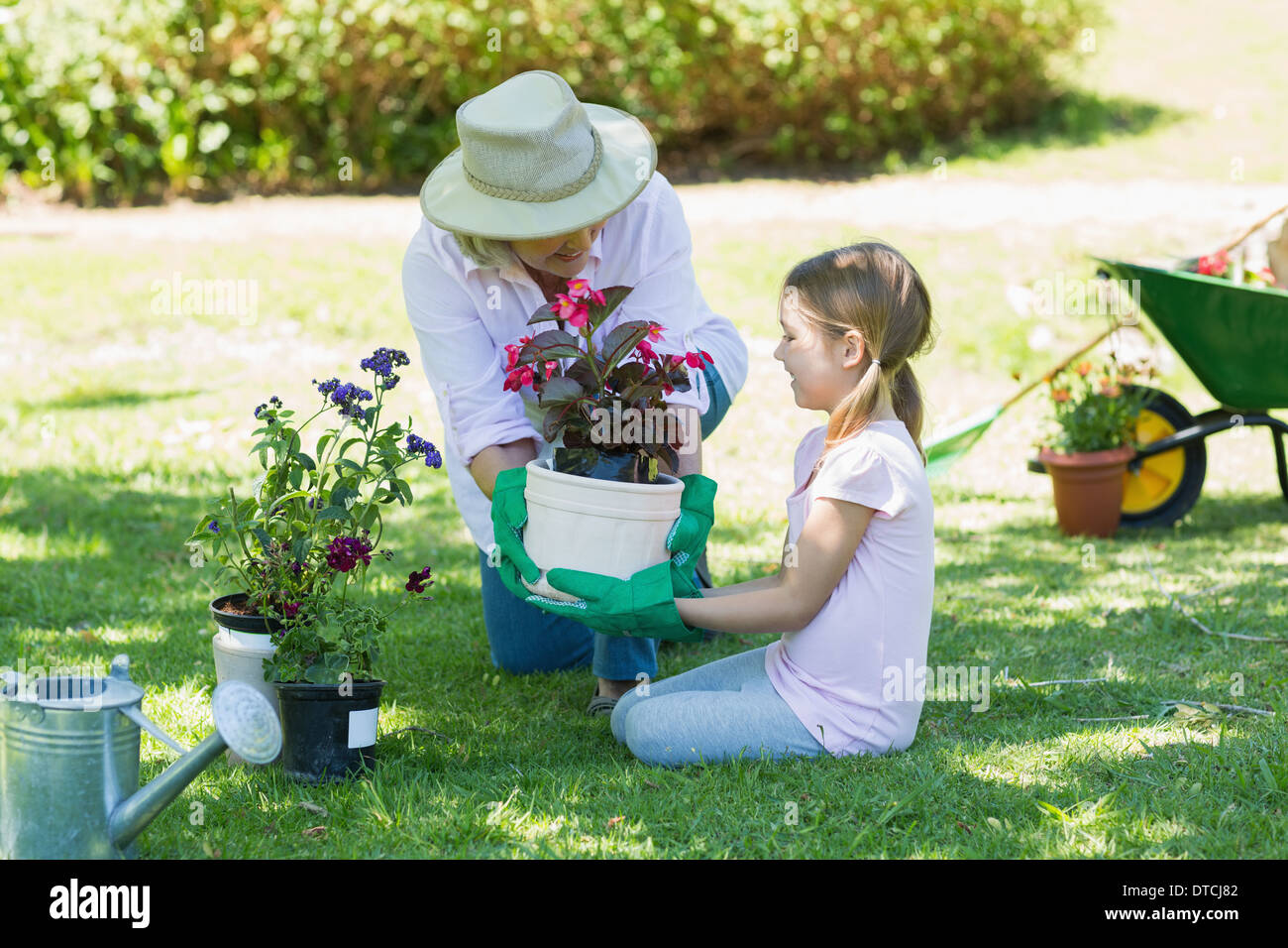 Großmutter und Enkelin engagiert bei der Gartenarbeit Stockfoto