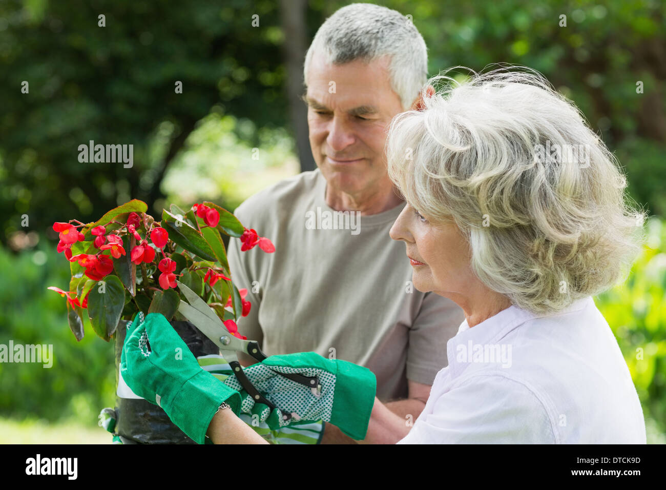 Älteres paar engagiert bei der Gartenarbeit Stockfoto