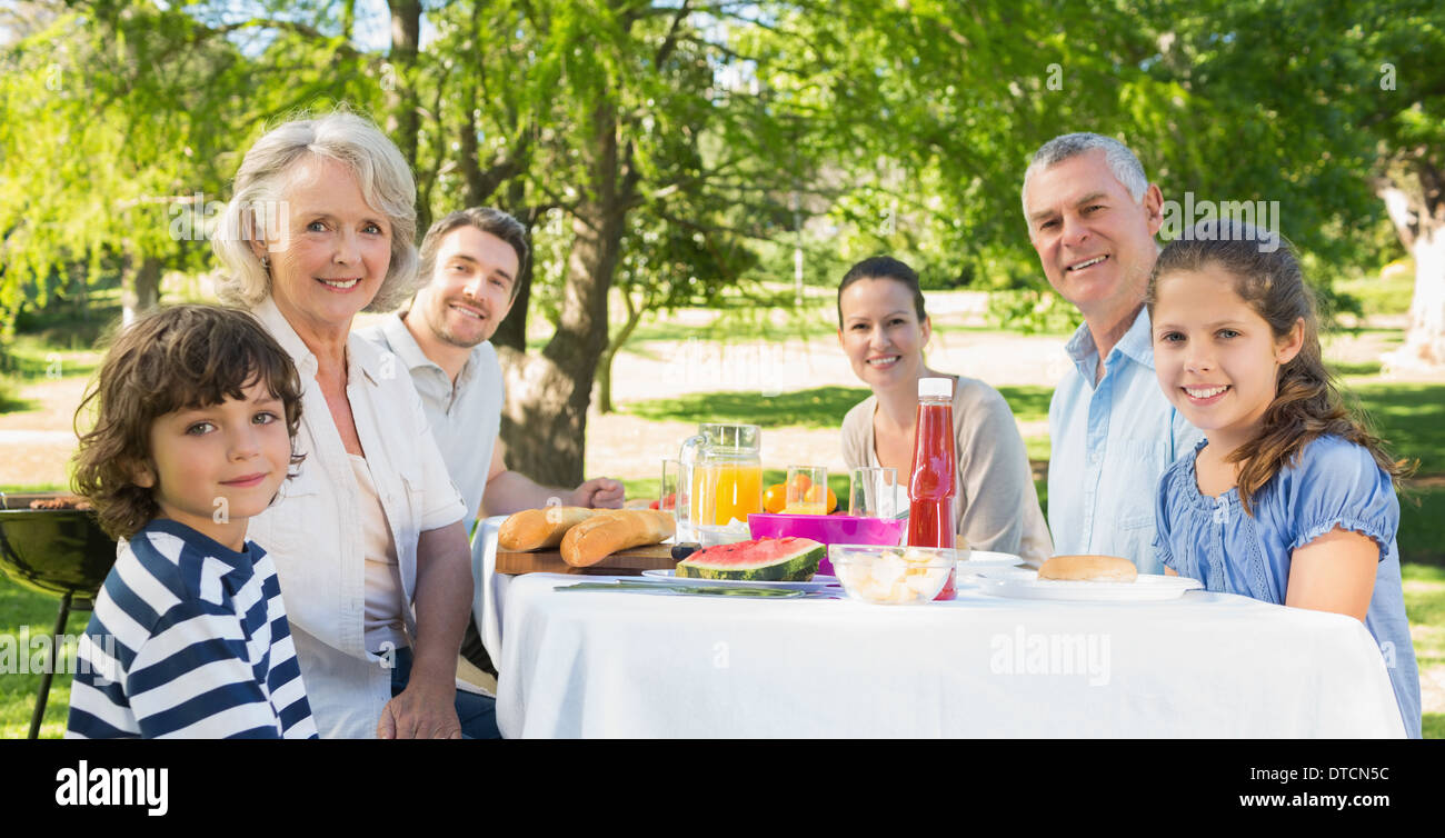 Großfamilie mit Mittagessen im Rasen Stockfoto
