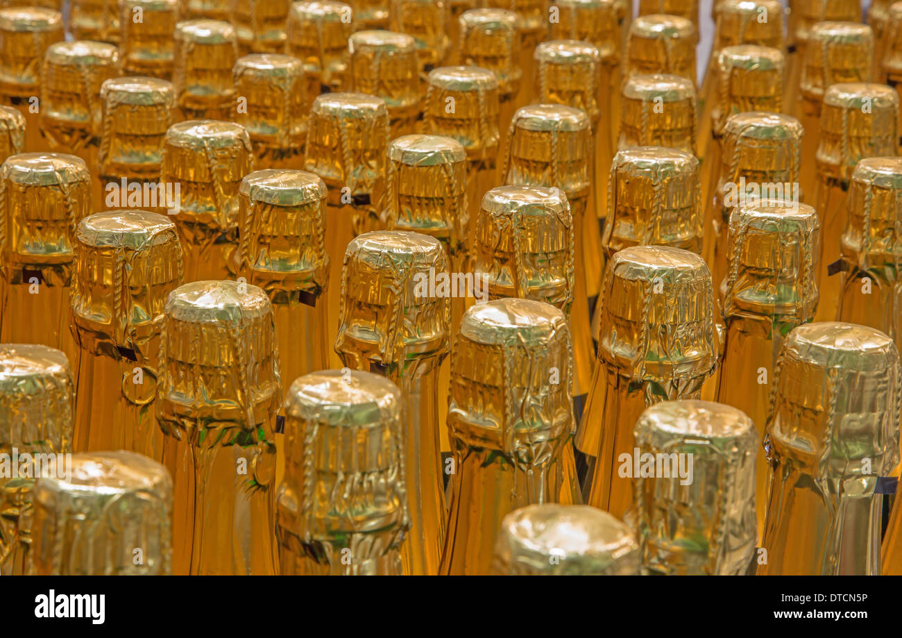 BRATISLAVA, Slowakei - 30. Januar 2014: Detail der Champagnerflaschen. Innere der Wein Werk des großen slowakischen Produzenten. Stockfoto