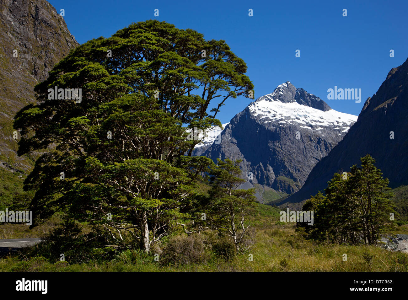 Blick Richtung Mount Christina unterwegs nach Milford Sound, Fiordland, Südinsel, Neuseeland Stockfoto