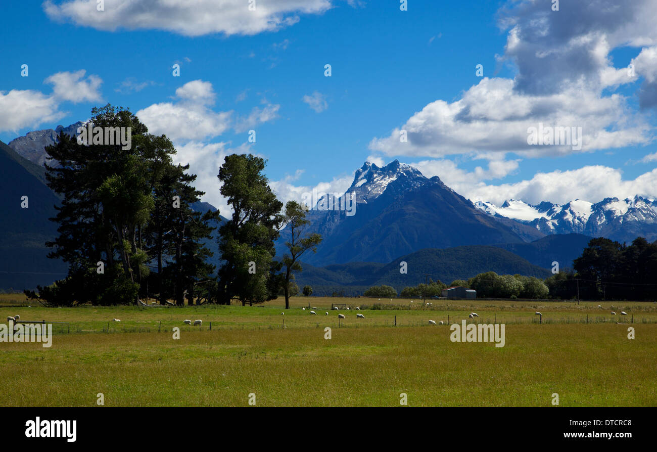 Ackerland in der Nähe von Glenorchy Blick auf Forbes-Bergkette, Südinsel, Neuseeland Stockfoto