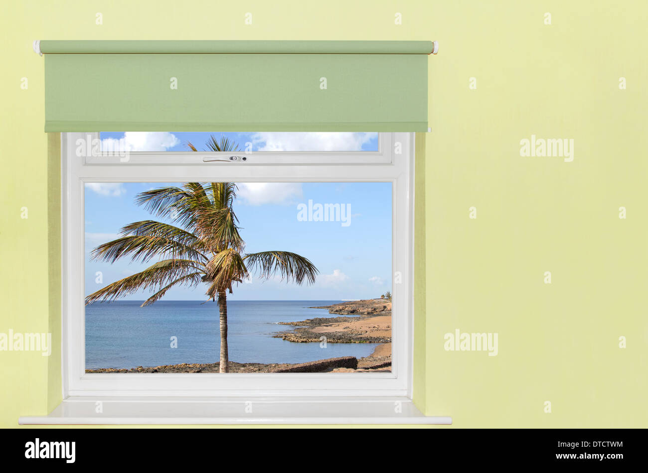 Blick auf Palmen und Meer vom Fenster Stockfoto