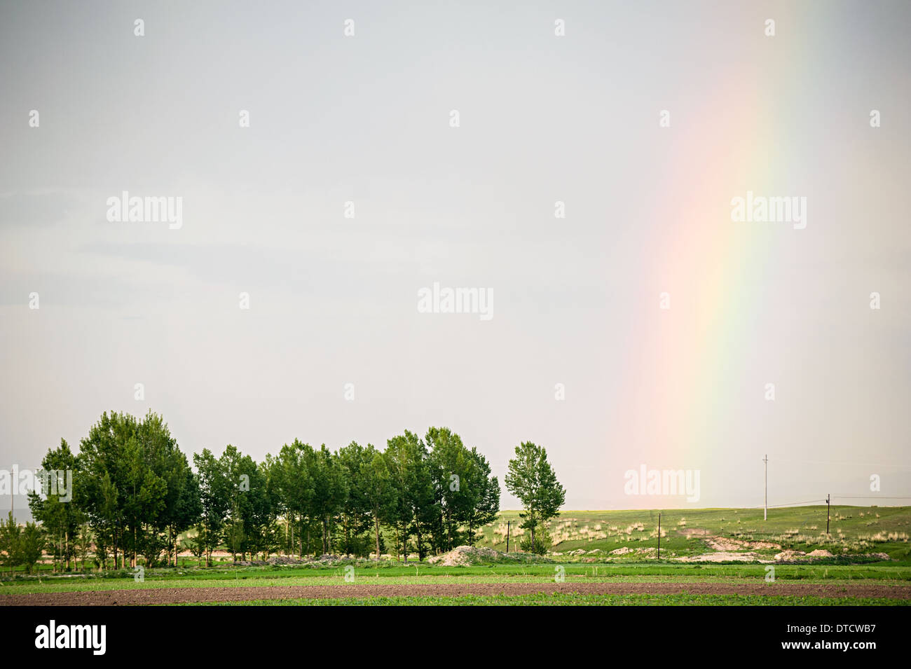 Die schönen Regenbogen in das Grasland, Xinjiang in China Stockfoto