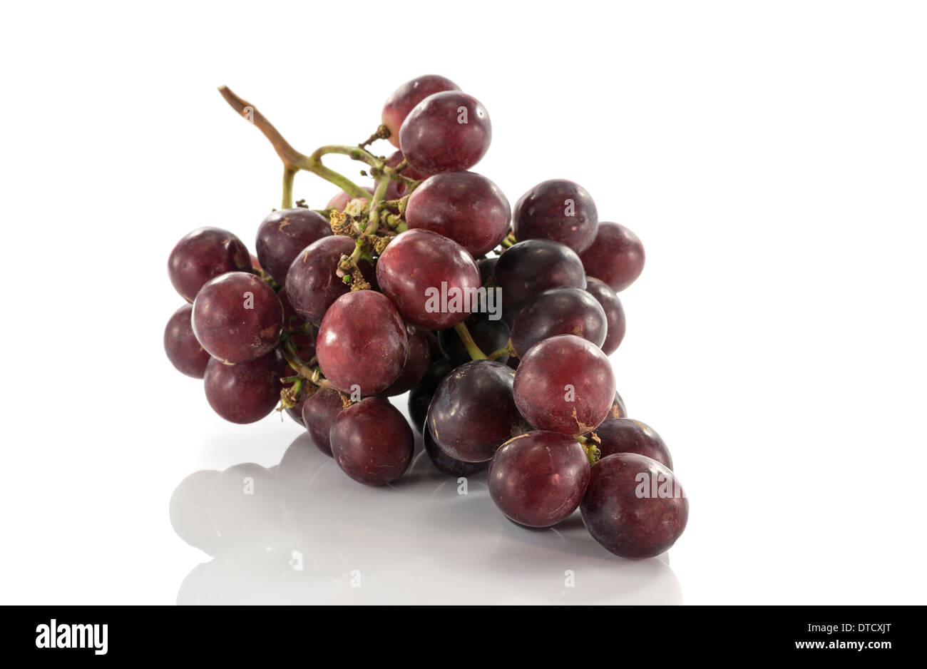 rote Trauben Obst isoliert auf weißem Hintergrund Stockfoto