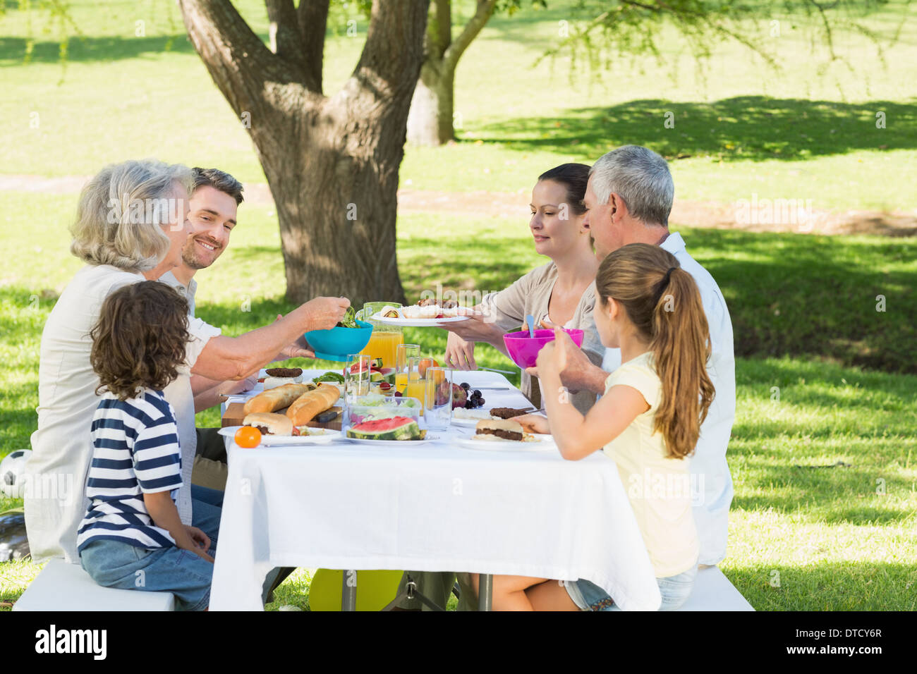 Großfamilie mit Mittagessen in Rasen Stockfoto