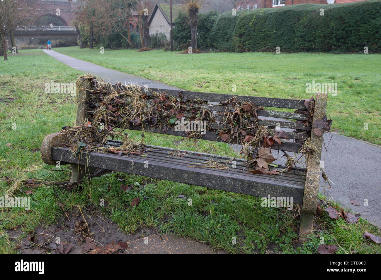 Hochwasser 2013. Fluss Maulwurf Surrey. Parkbank in Schilfen nach Überschwemmungen von River Mole brechen die Banken abgedeckt. Stockfoto