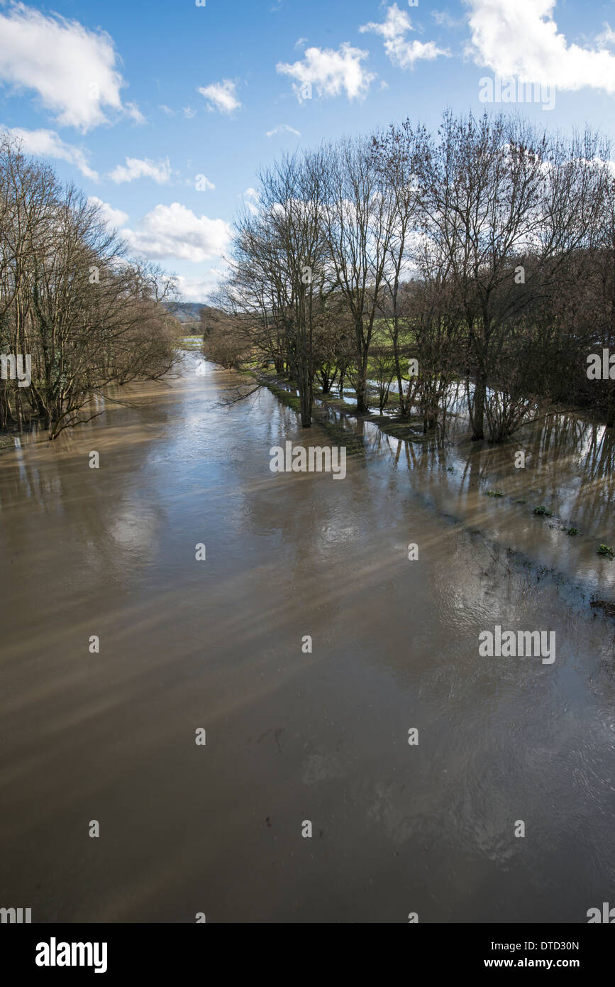 Überschwemmungen, River Mole, Surrey, Februar 2014. Fluss hat es den Banken platzen. Stockfoto