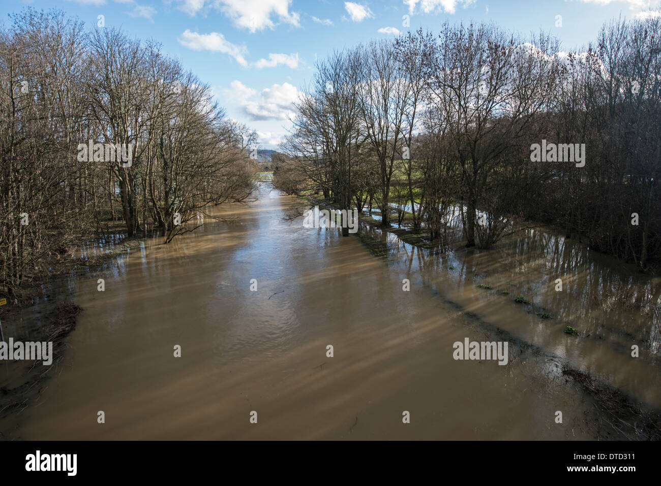 Überschwemmungen, River Mole, Surrey, Februar 2014. Fluss hat es den Banken platzen. Stockfoto