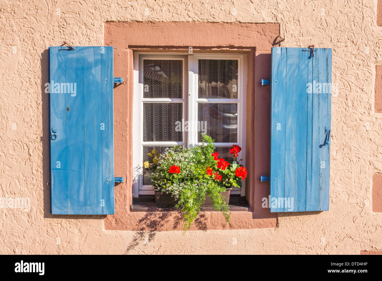 Blumenfenster geschmückt mit blauen Fensterläden aus Holz, Schiltach, Schwarzwald, Baden-Württemberg, Deutschland Stockfoto