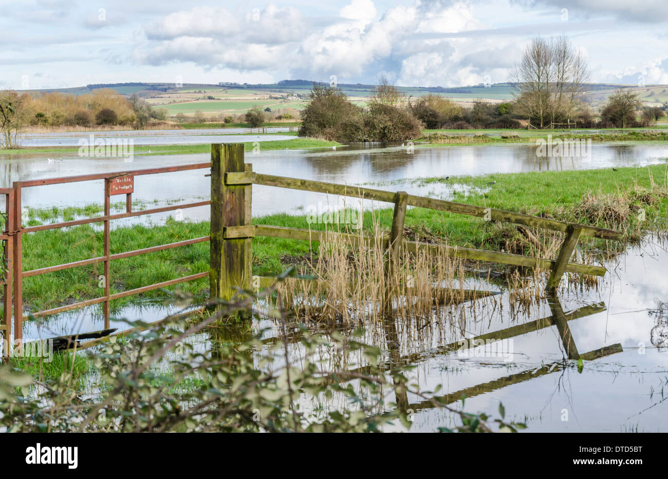 Überfluteten Felder in Arundel, West Sussex, England, UK, nach Sturm und Starkregen im Februar 2014. Stockfoto