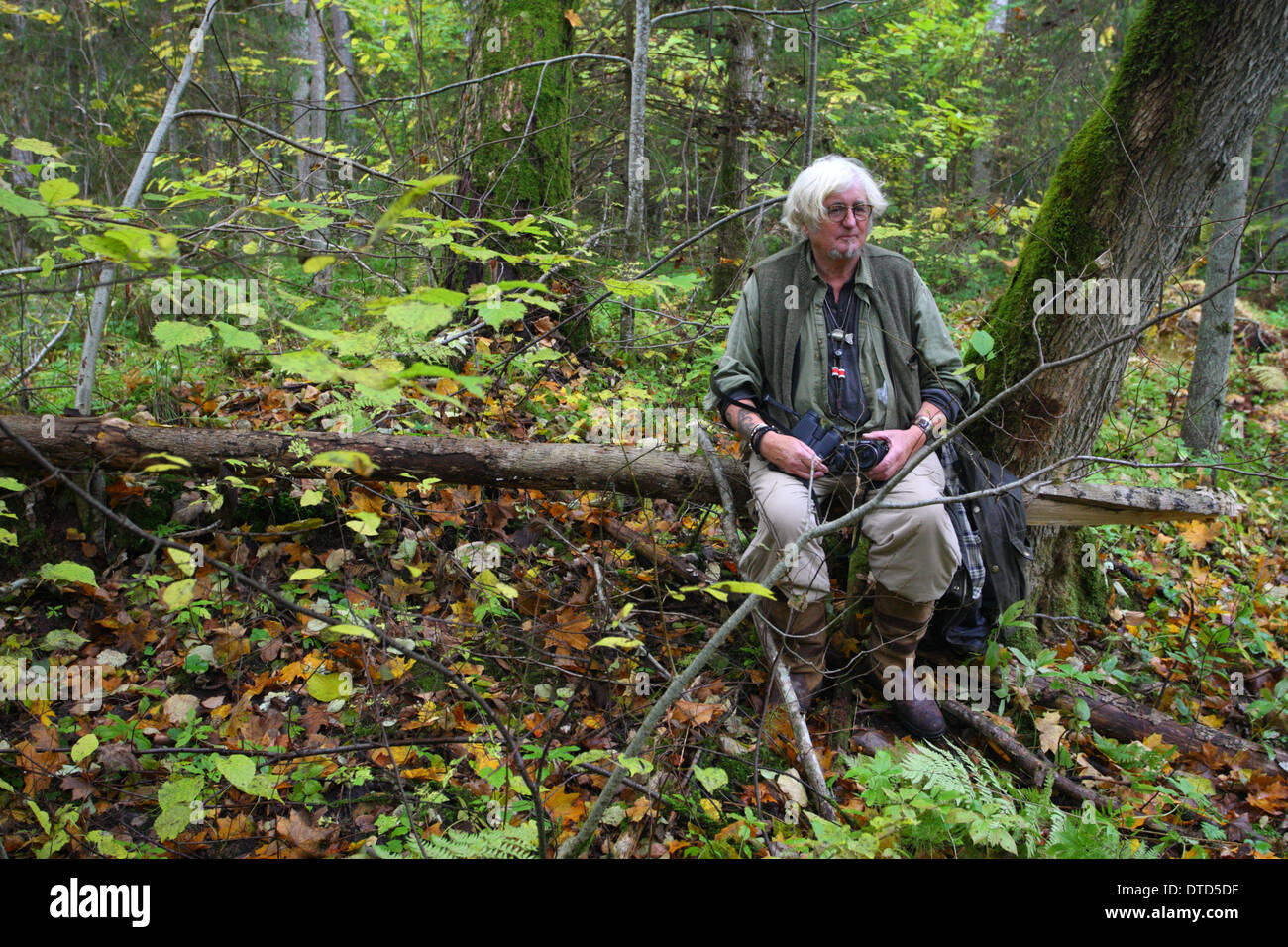 Wanderer, die Ruhe im Wald. Estland, Europa Stockfoto